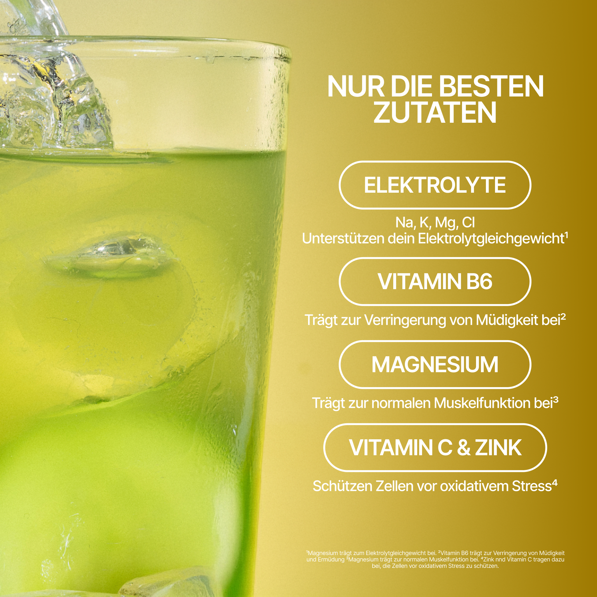 LOOSH Fresh Elektrolyte Sticks – 30 Portionen zuckerfrei