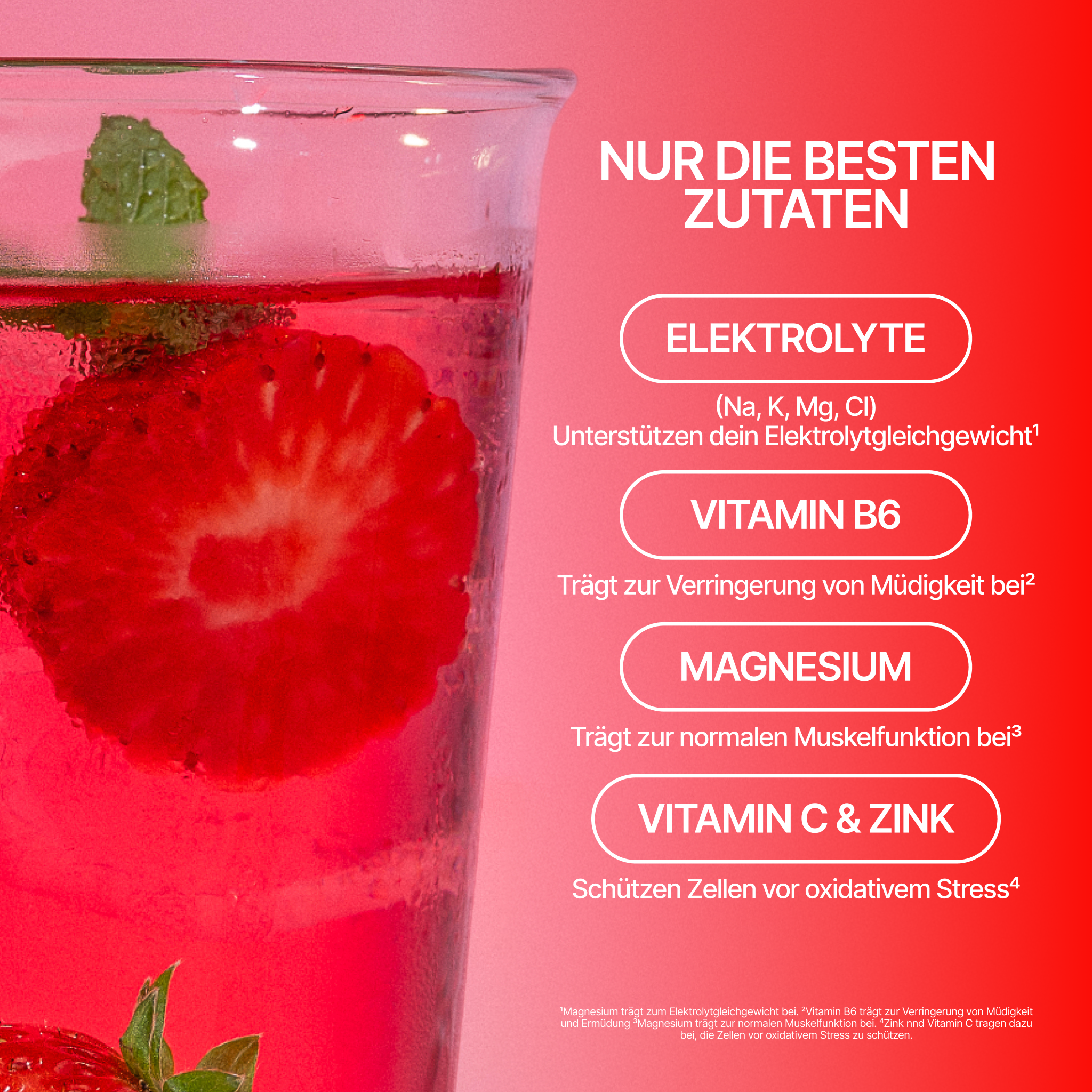 LOOSH Elektrolyte Berry 10 Sticks zuckerfrei Verpackung